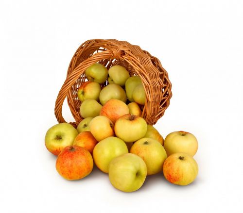 apples basket isolated