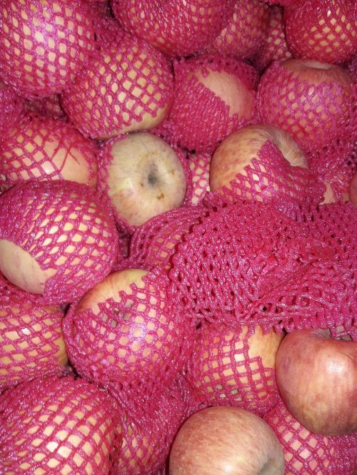 apples wrapping fruit