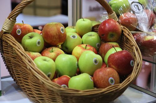 apples the basket of apples fruit