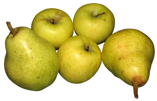 apples  pears  fruit