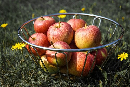 apples  summer  fruit