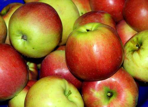 apples  fruit  autumn