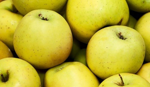 apples  fruit  eco