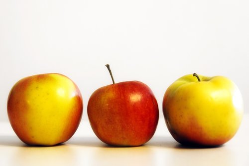 apples  fruit  mature