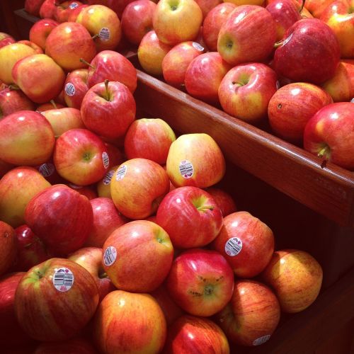 apples fruit fresh