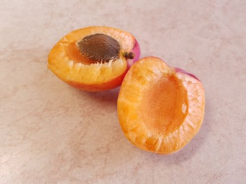 apricot fruit orange