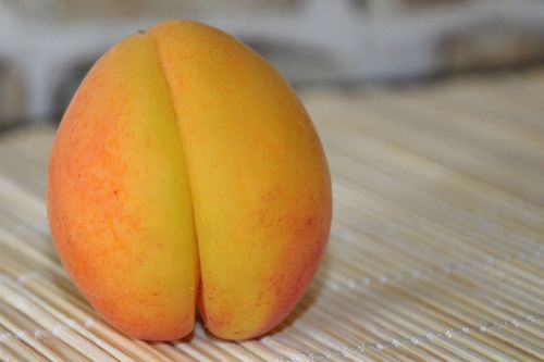 apricot fruit delicious