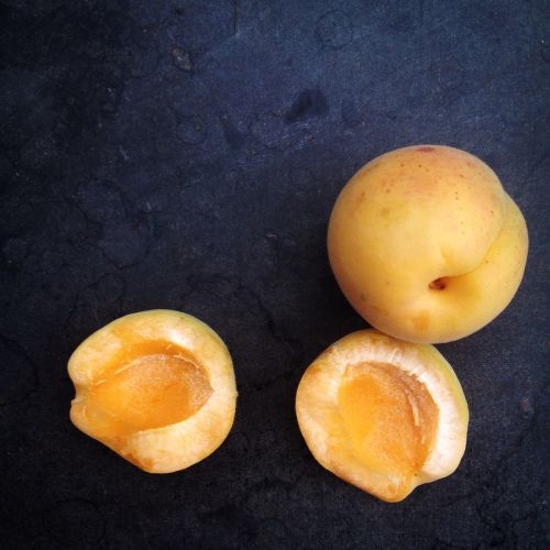 apricot fruit useful