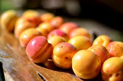 apricot fruit macro