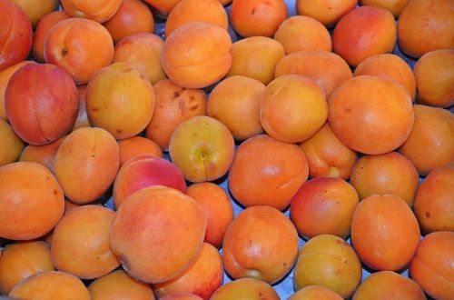 apricot fruit food