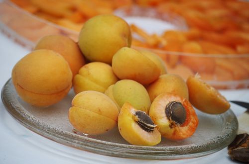 apricots fruit orange