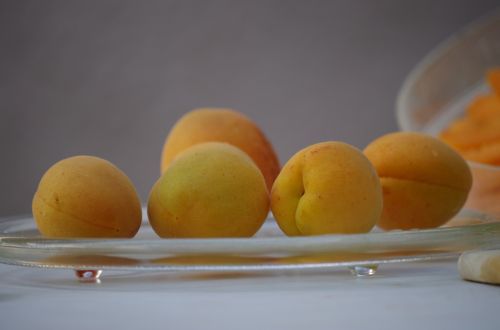 apricots fruit orange