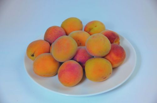 apricots fruit power