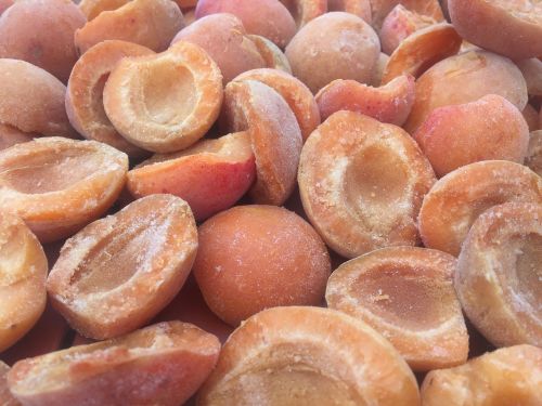 apricots fruit