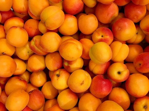 apricots  fruits  fruit