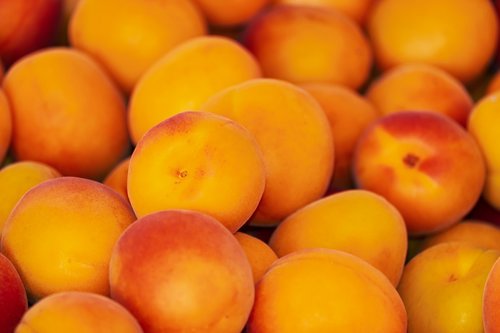 apricots  apricot  fruit