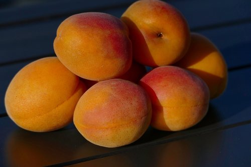 apricots  yellow  fruit