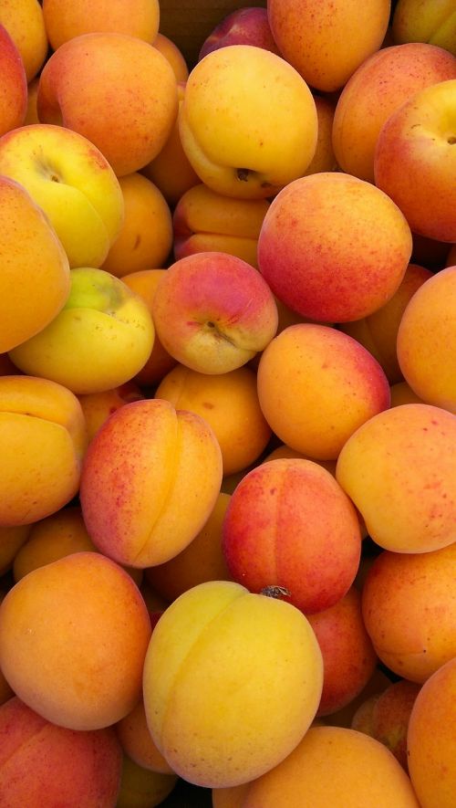 apricots market food
