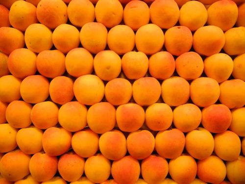 apricots fruits market