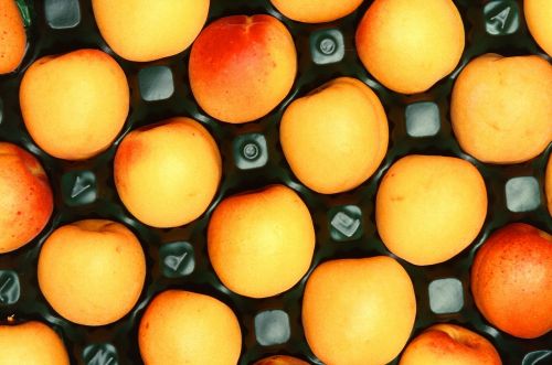 apricots fruit ripe