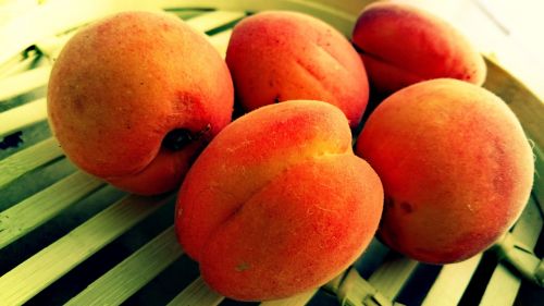 apricots fruits bio