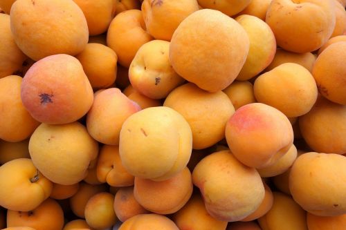 apricots fruit orange