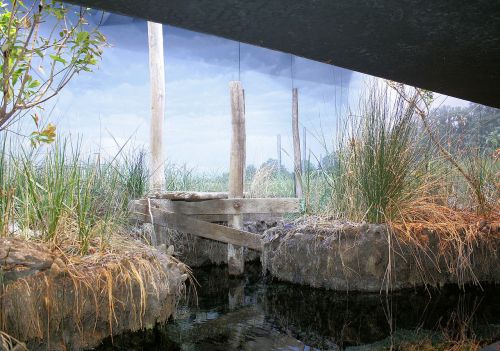 Aquarium Scenery