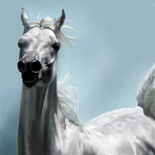 arabian horse  horse painting  animal