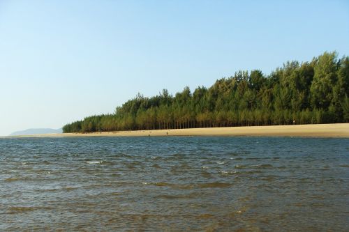 arabian sea forest india