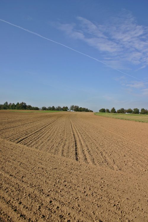 arable ackerfurchen field