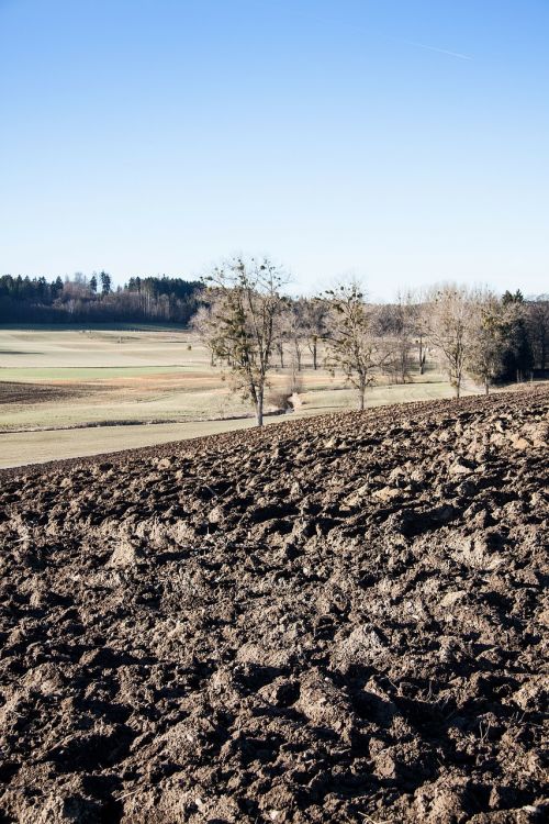 arable plowed earth