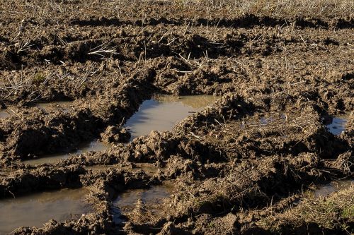 arable arable land wet