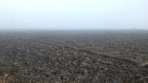 arable autumn fog