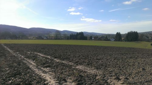 arable landscape field