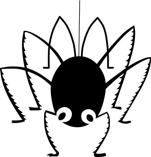 arachnid spider spooky