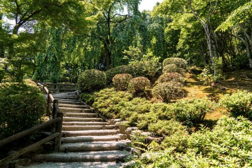 arashiyama japan stairs path park