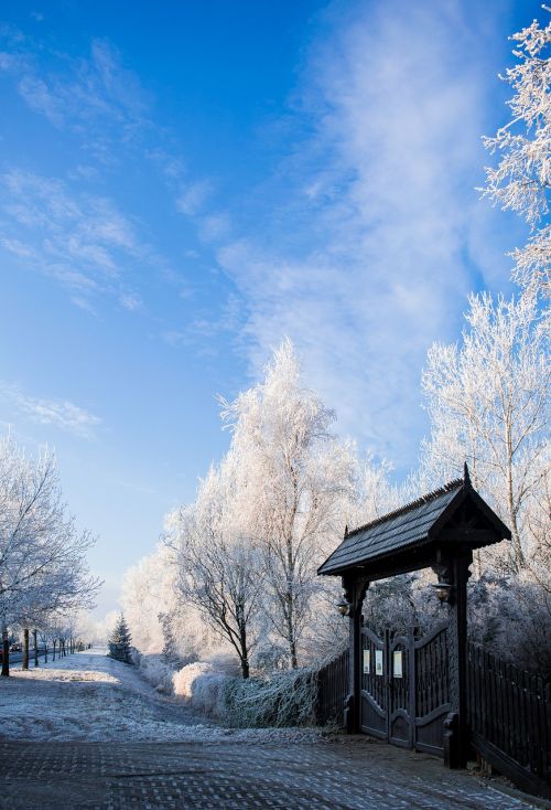 arboretum winter gate