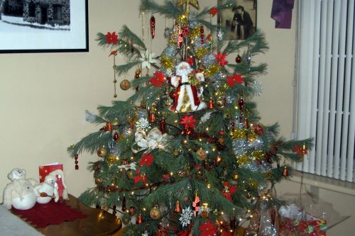Christmas Tree (3)