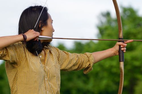 archery bow and arrow objectives