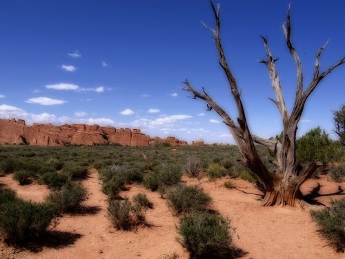 arches national park