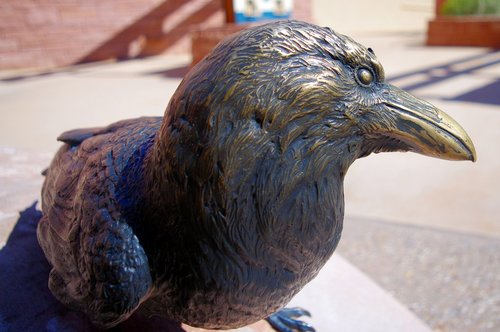 arches bronze raven  sculpture  bird
