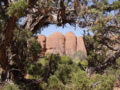 arches national park mountain red