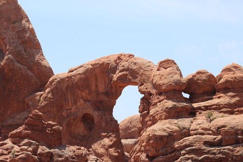 arches national park  utah  rock
