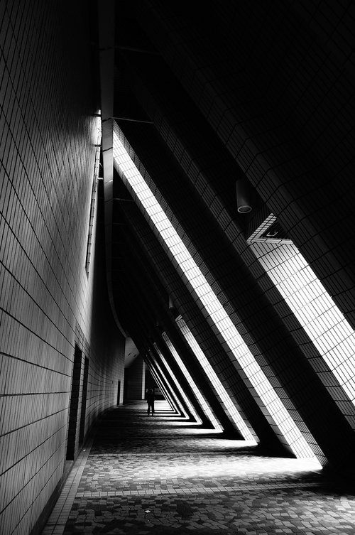 architectural design  architecture  black and white