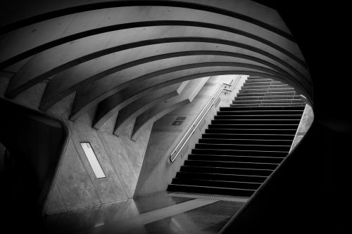architecture lines and curves monochrome