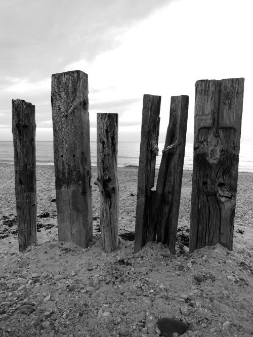 architecture beach protection wall