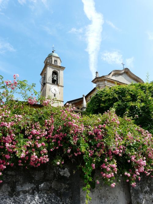 architecture flower travel