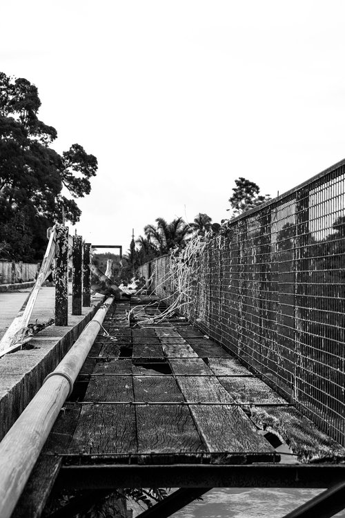 architecture  bridge  river