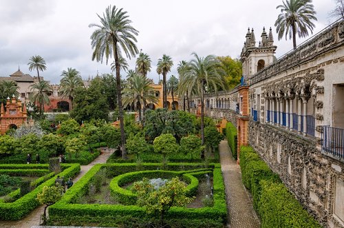 architecture  palm  garden