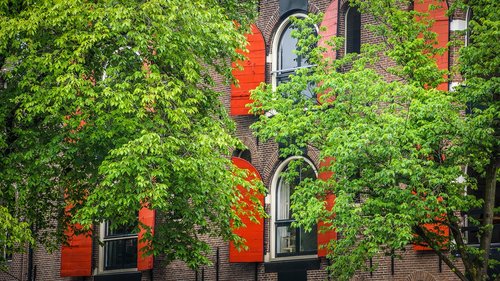 architecture  shutters  trees